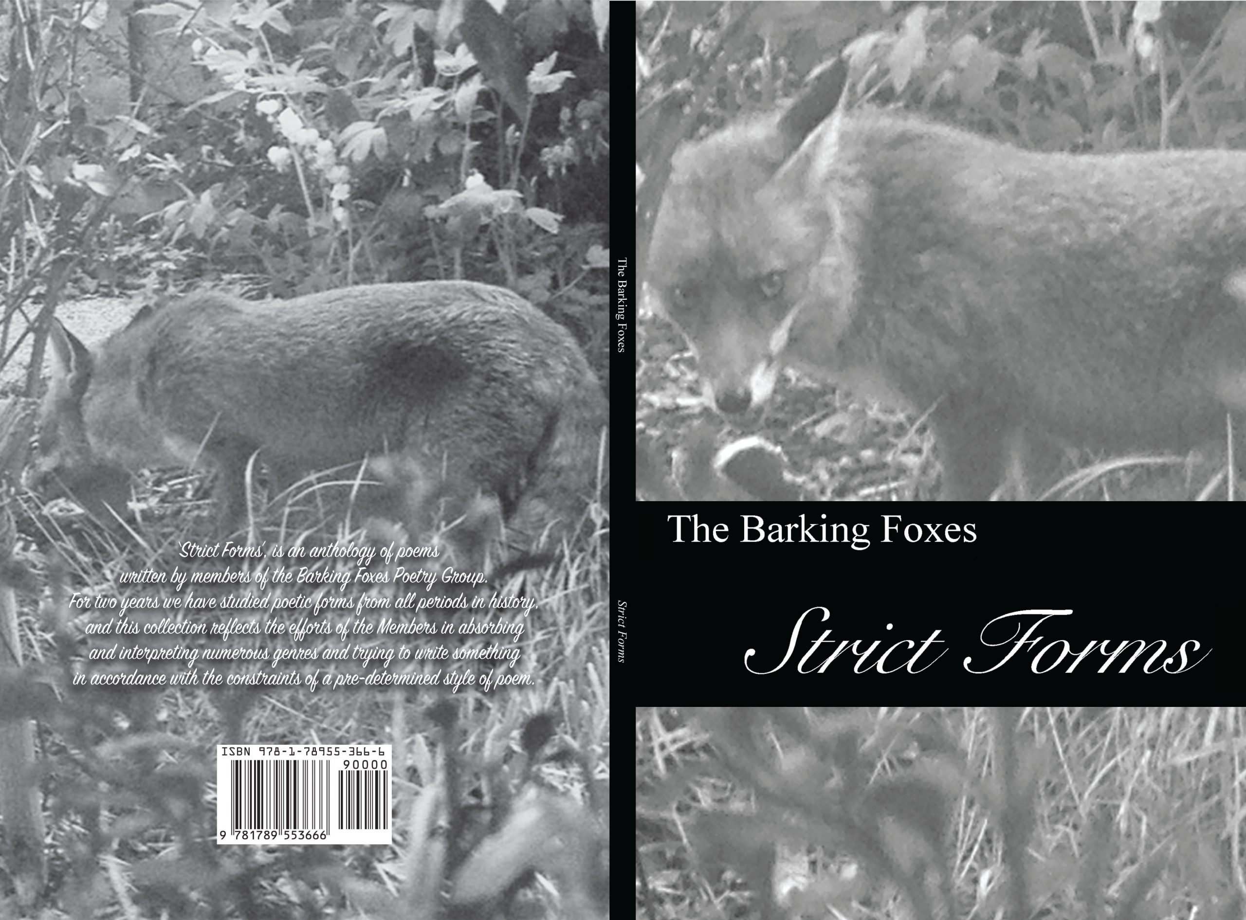 Strict Forms Anthology