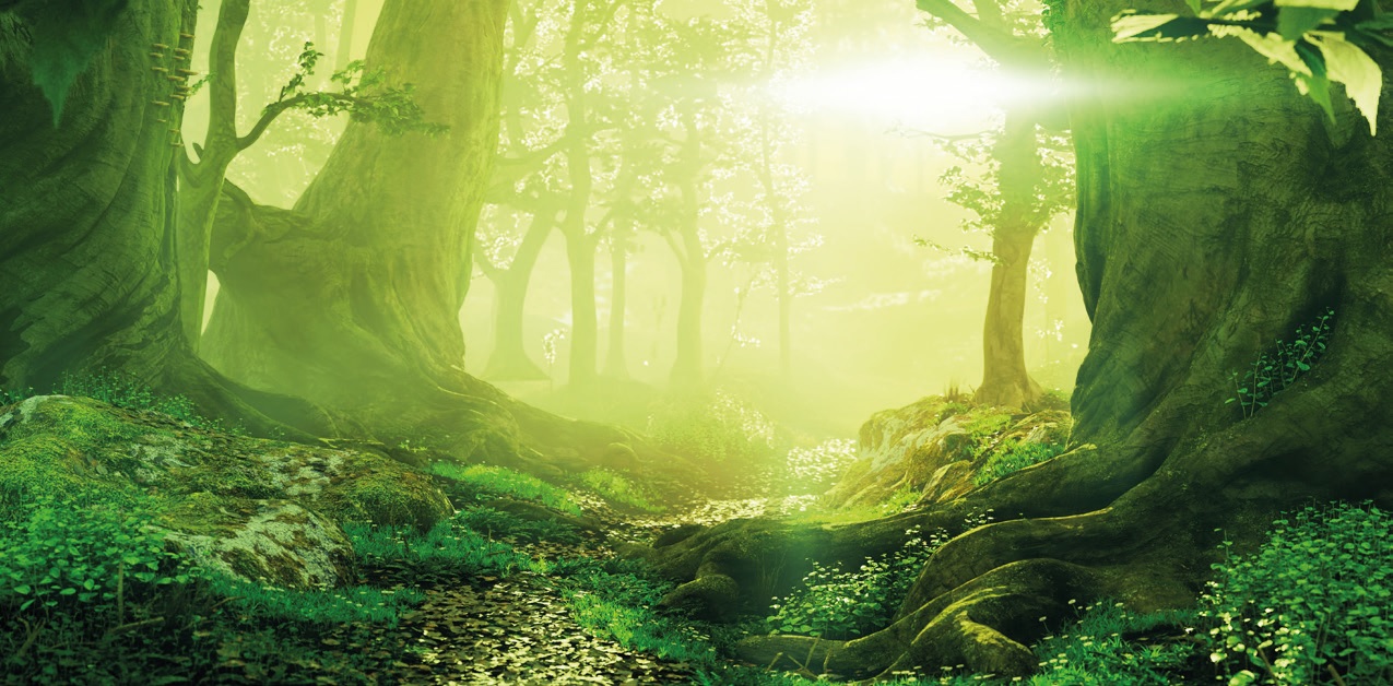 showcase write on pen to print to forests