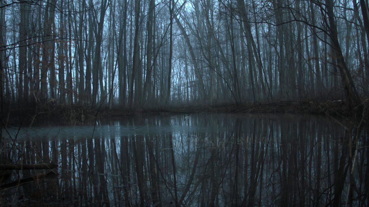 pen to print showcase write on Bay Sirius Witch Holly Rae Garcia