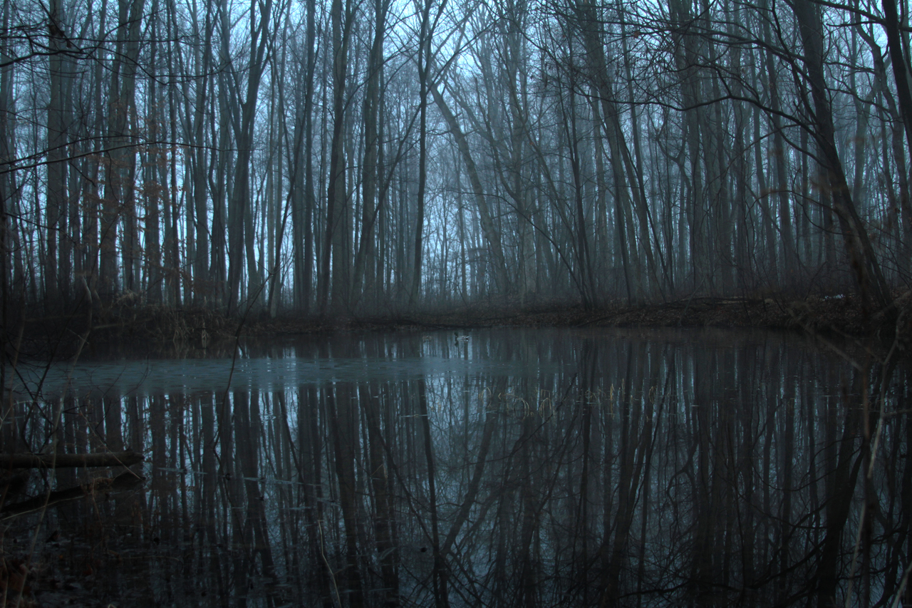 pen to print showcase write on Bay Sirius Witch Holly Rae Garcia