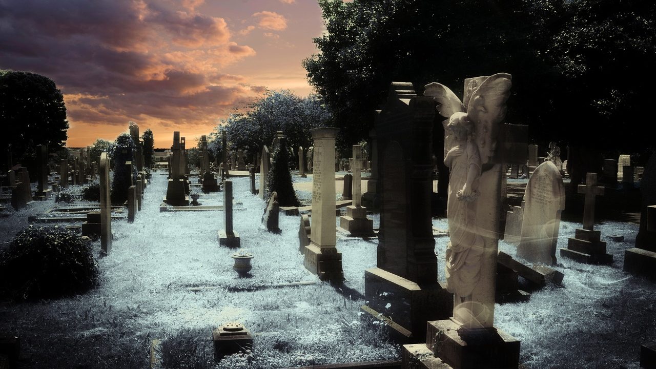 pen to print showcase write on Badger Christmas Carol Clepitt Buss