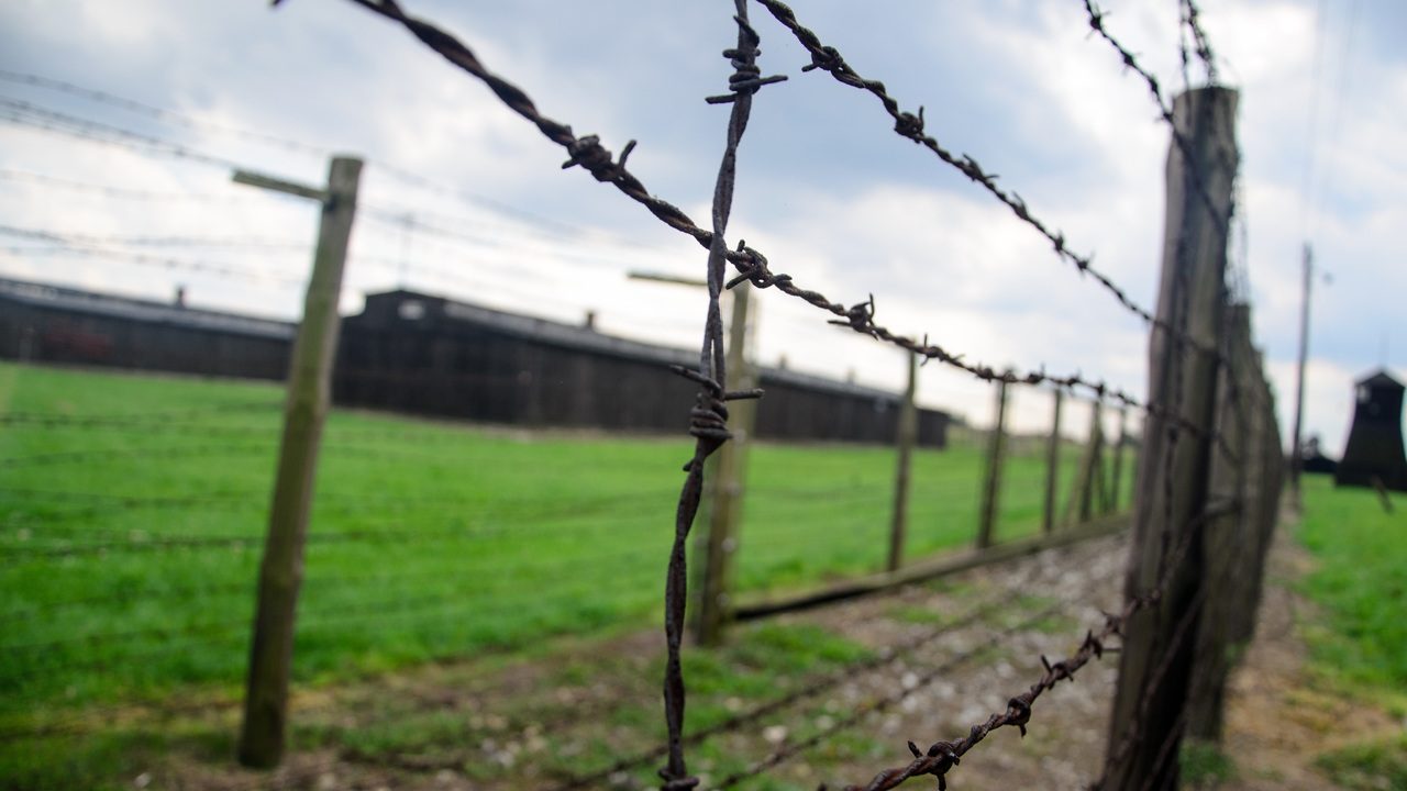 holocaust memorial day poem poetry write on showcase