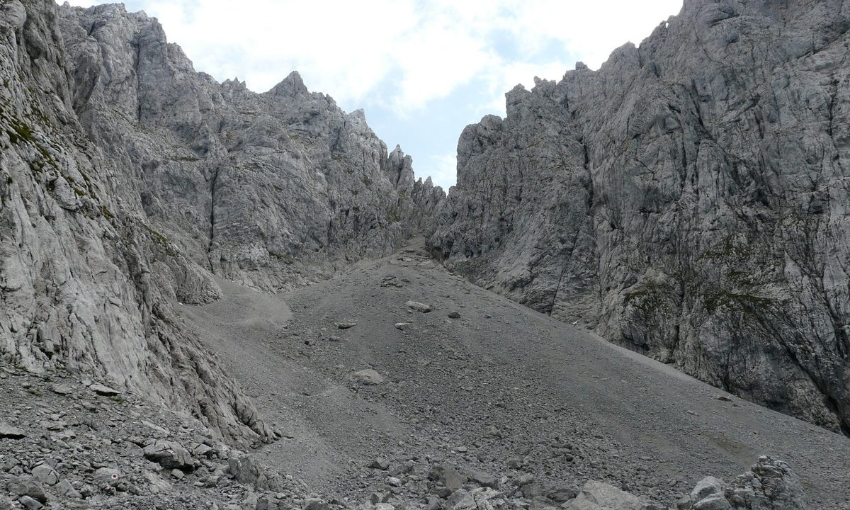 return darkie gardiner bill swiggs short story write on showcase