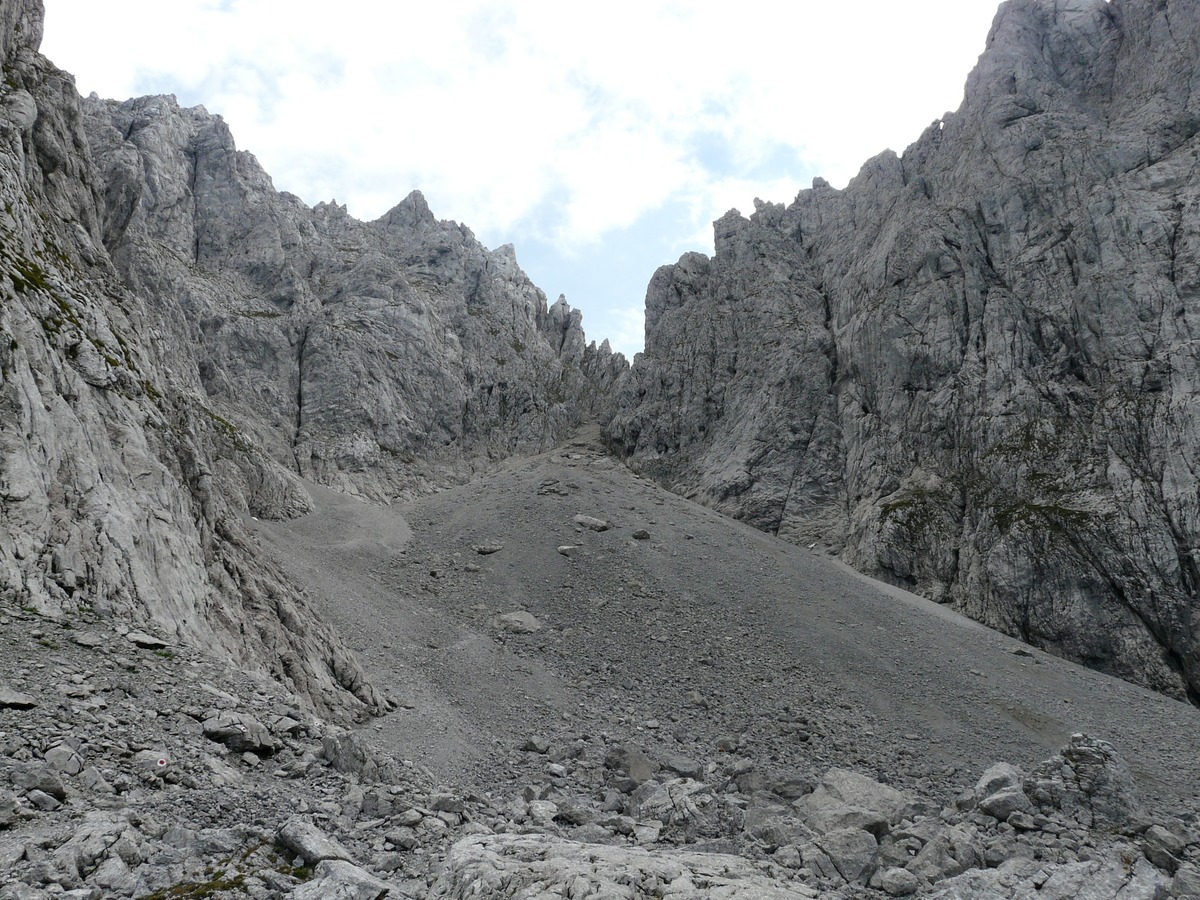 return darkie gardiner bill swiggs short story write on showcase